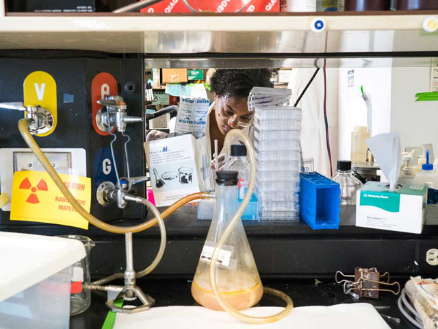 At her lab bench, Pascale Guiton sets up a polymerase chain reaction to generate copies of Toxoplasma gondii DNA. T. gondii is one of the most common parasites, with an estimated one third of the global population infected.