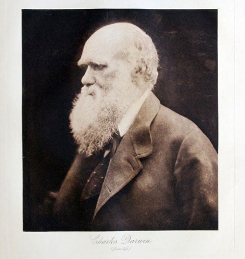 Photogravure of Charles Darwin