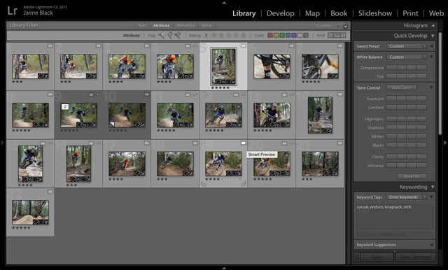 Pictures selected for import, using the attributes feature