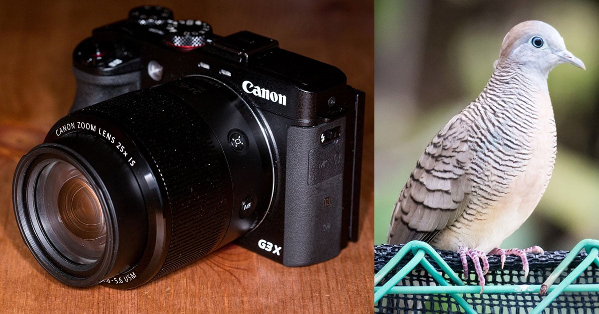 genezen Meerdere Won A Real-World Review of the Canon PowerShot G3X | PetaPixel