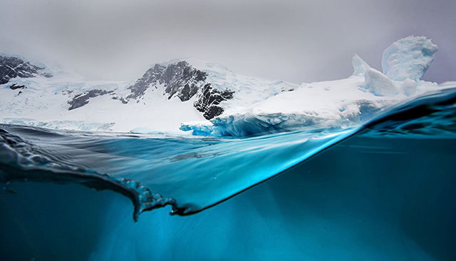 half submerged camera