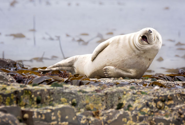 Photo by Jule Hunt of the UK.