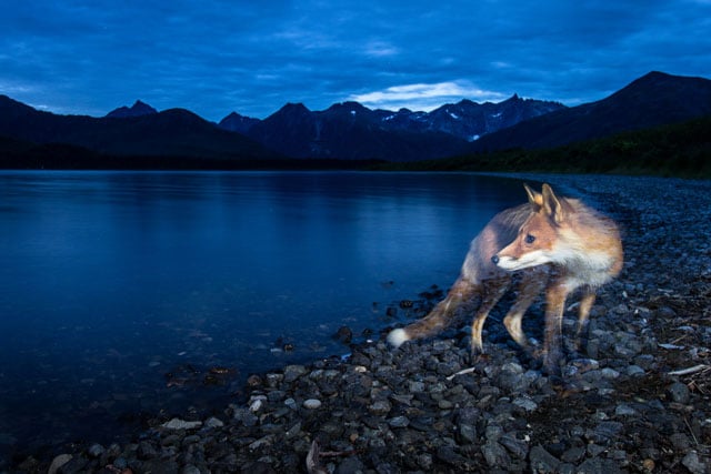 "I love the surreal feeling of images lit with a mix of twilight and flash. "