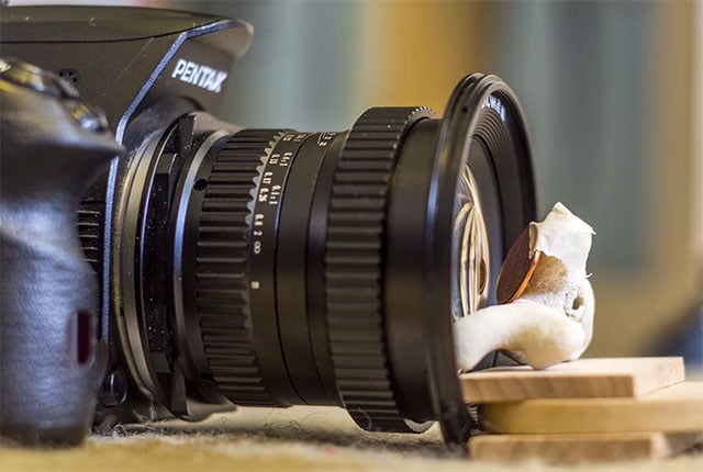 A Review of the Laowa 15mm f/4 and Its Crazy Close 4.7mm Working
