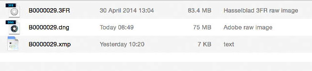 If you compare the file size of the raw original with a converted DNG, the DNG file size will usually be smaller.