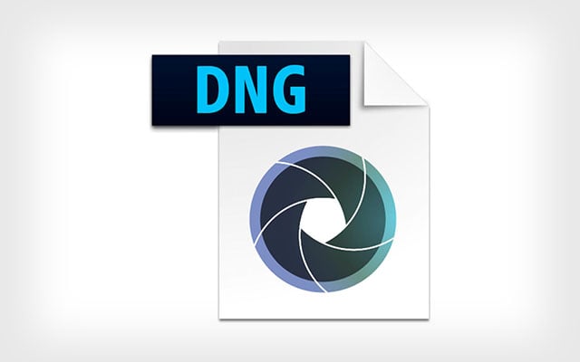 convert .dmp in dng file