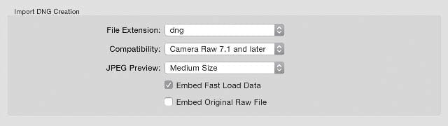 In the Lightroom File Handling preferences you can enable Embed Fast Load Data when saving a DNG file.