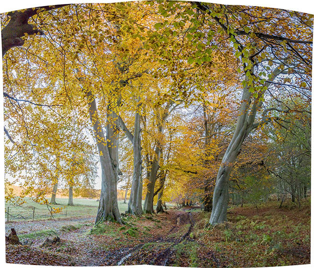 An example of a Panorama Photo Merge image created in Lightroom and saved as a raw DNG.