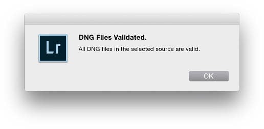 In Lightroom you can choose Validate DNG Files from the Library menu to check the integrity of your DNGs.