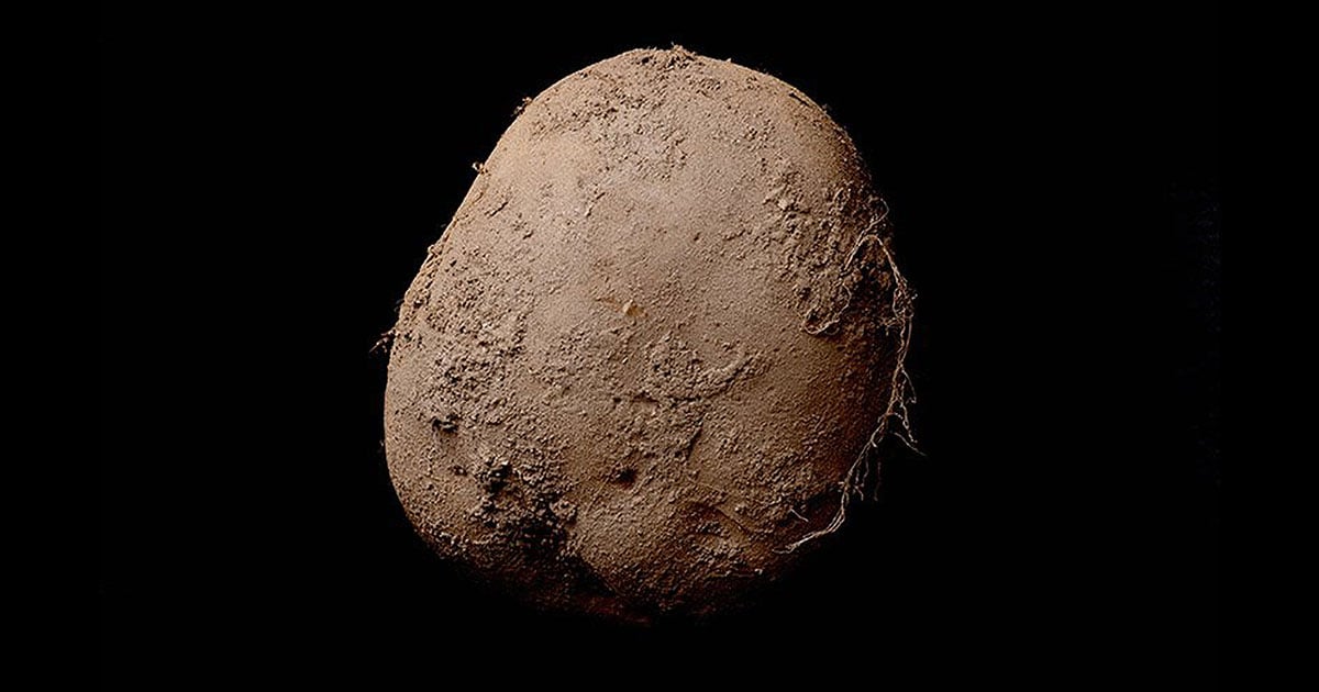 This Photo of a Potato Sold for Over $1,000,000