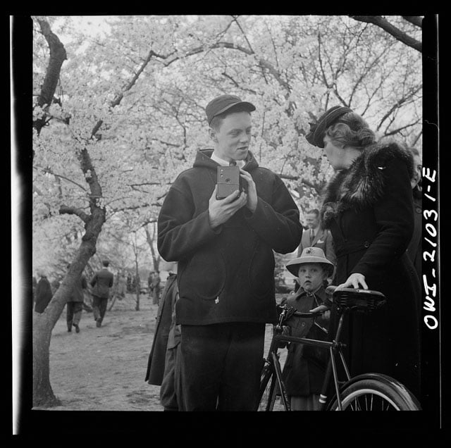 Washington, D.C. Taking pictures of the cherry blossoms. Photo by Esther Bubley.
