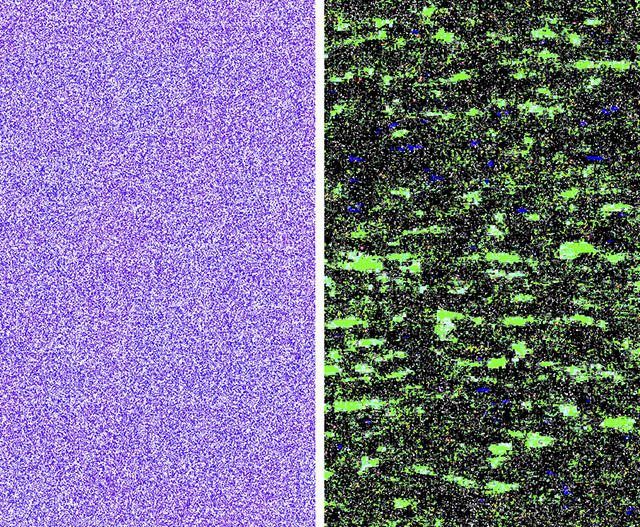 Crops of the RAW (left) and JPEG (right) after boosting exposure by 5 stops.