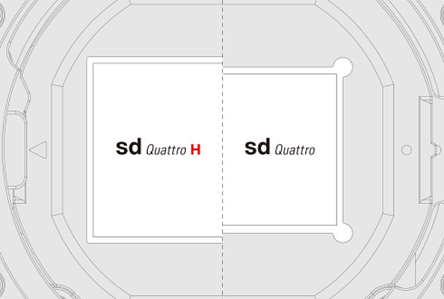 sizecomparison