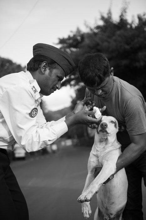 A traffic policeman is helping Arun put powder on a dog's wound.