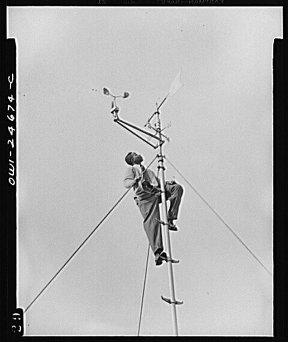 A photo from the FSA/OWI archive. Shot by William Perlitch, Oct, 1942. Note the balanced shape, the triangle created by the explicit lines.