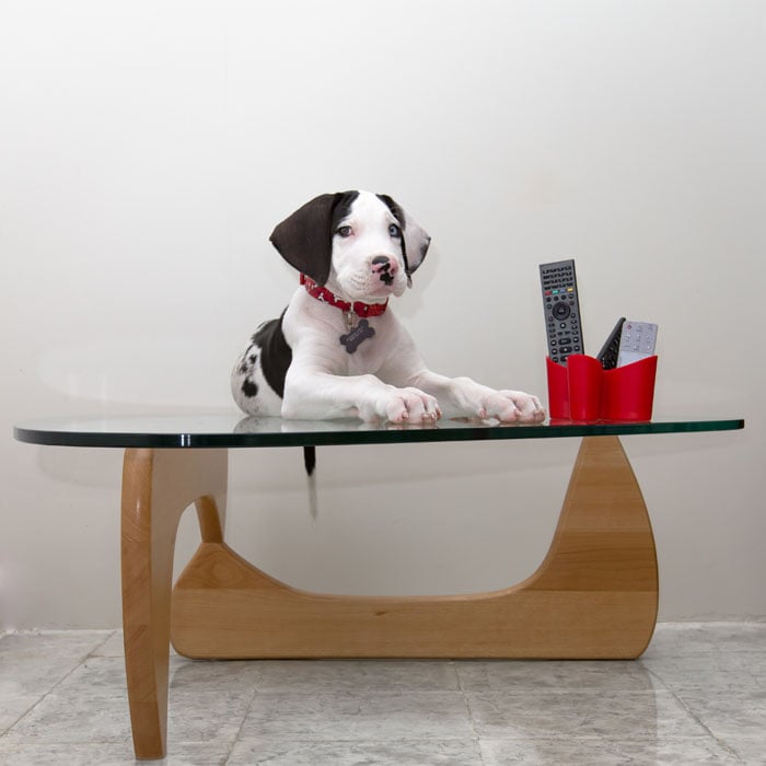 "Centerpiece dane is a very useful accessory for getting the remotes without having to reach for it.... the only problem is the occasional disappearance of snacks and drool on the remotes..."