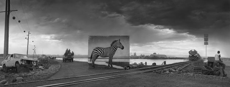 ROAD-TO-FACTORY-WITH-ZEBRA-800px