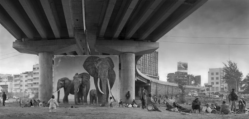 UNDERPASS-WITH-ELEPHANTS-800px