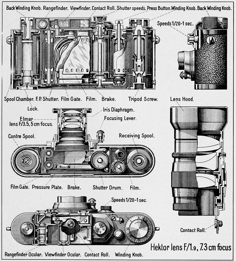 anatomyleica