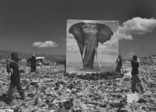 Photographer Shoots Life-Size Animal Prints in Destroyed Habitats ...