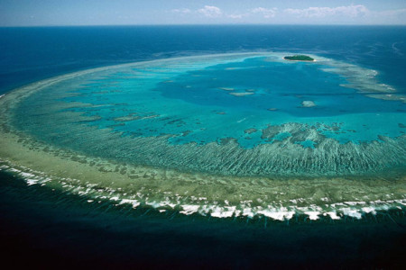Photographer Gary Braasch Dies Snorkeling at Great Barrier Reef | PetaPixel