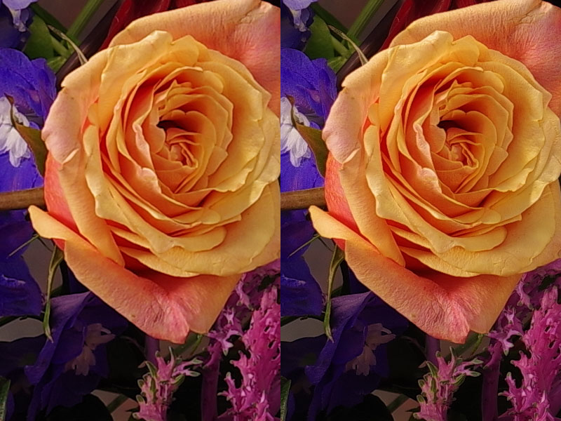 Pixel Shift Resolution off (left) and on (right).
