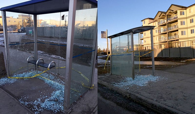 Two of the vandalized bus stops.