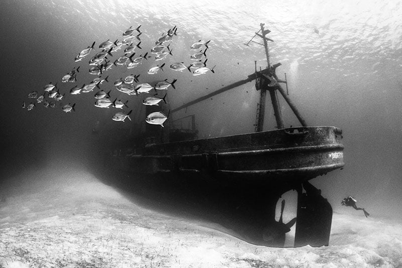 "USS Kittiwake Shipwreck." Susannah H. Snowden-Smith/UPY 2016