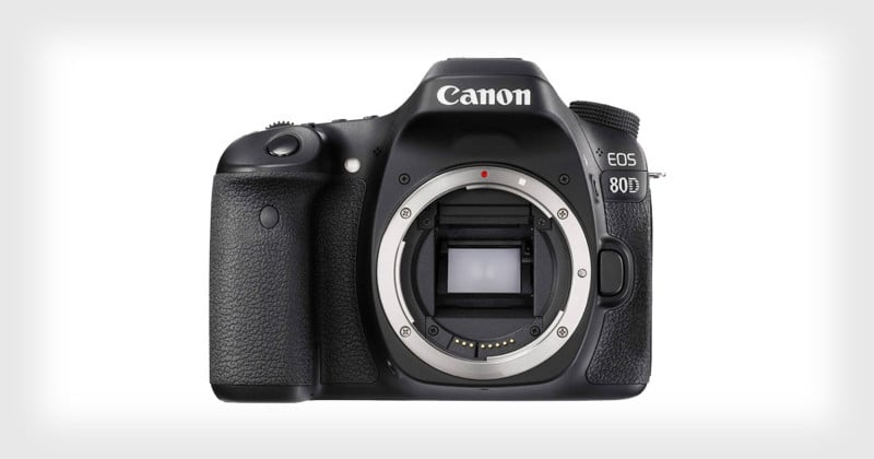 canon80dreview