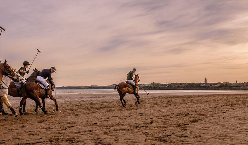 Polo on West Sands. Fuji X100S.