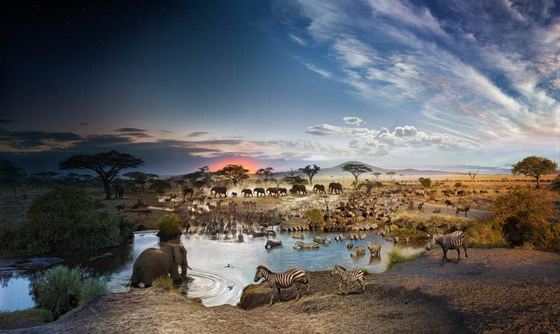 Serengeti National Park, Tanzania, Day to Night, 2015