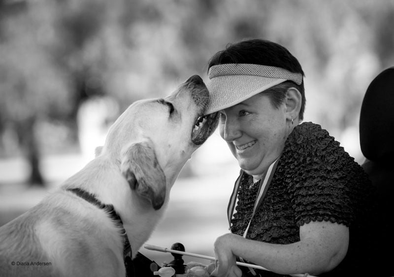 Assistance Dogs and Dog Charities, 2nd Place Winner, Diana Andersen, Australia.  “Happy to Help”