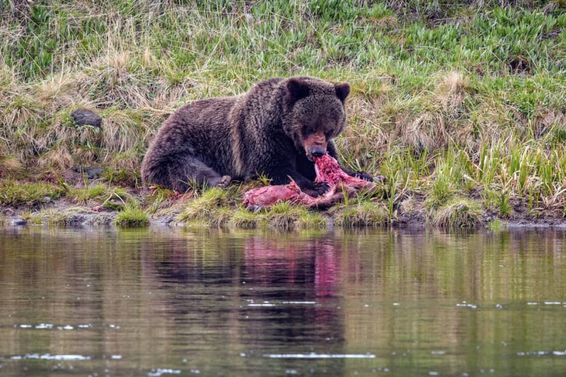 Yellowstone-National-Park-1