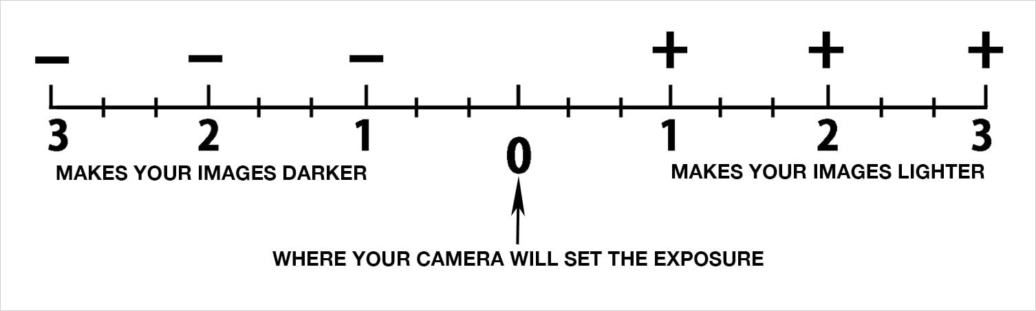 A Beginner's Guide to Aperture, Shutter Speed, and ISO in Photography ...
