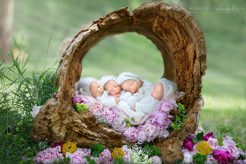 Newborn Photos Of Ultra Rare Identical Quadruplets | PetaPixel