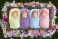 Newborn Photos Of Ultra Rare Identical Quadruplets | PetaPixel