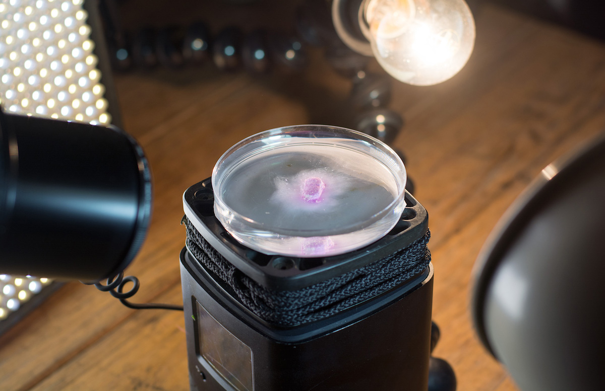 Eerily Beautiful Macro Timelapse of Different Pills Dissolving in Water