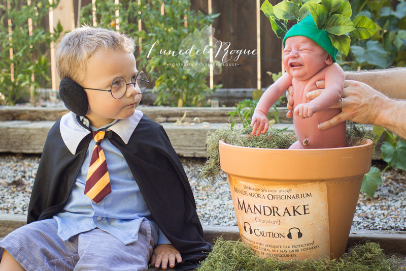 Harry Potter Newborn Shoot Features a Baby Mandrake