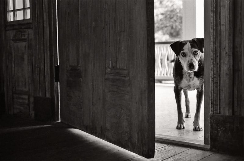 Wally, 14 years old. Ferrida, Louisiana