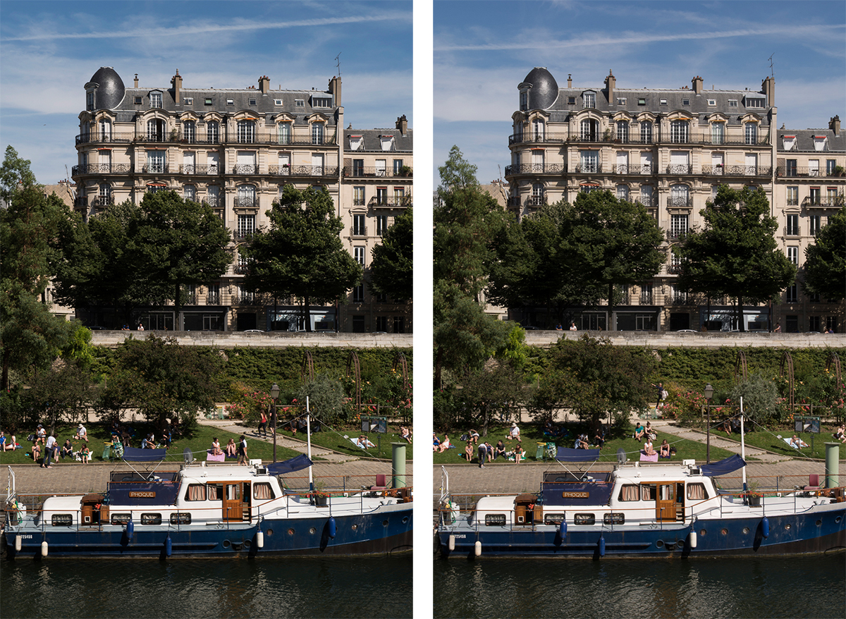 Is a Full Frame Camera Really Worth It? D610 vs D7100 Real World Test ...