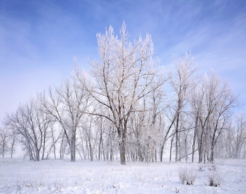 "Cottonwood Frost" - Provia 100f 4x5, 90mm lens.  1/2 second at f32, no filters
