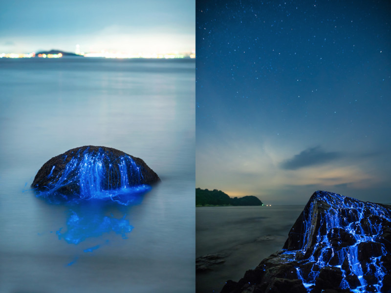 Shooting Sea Fireflies Lighting Up the Rocks On a Japanese Beach