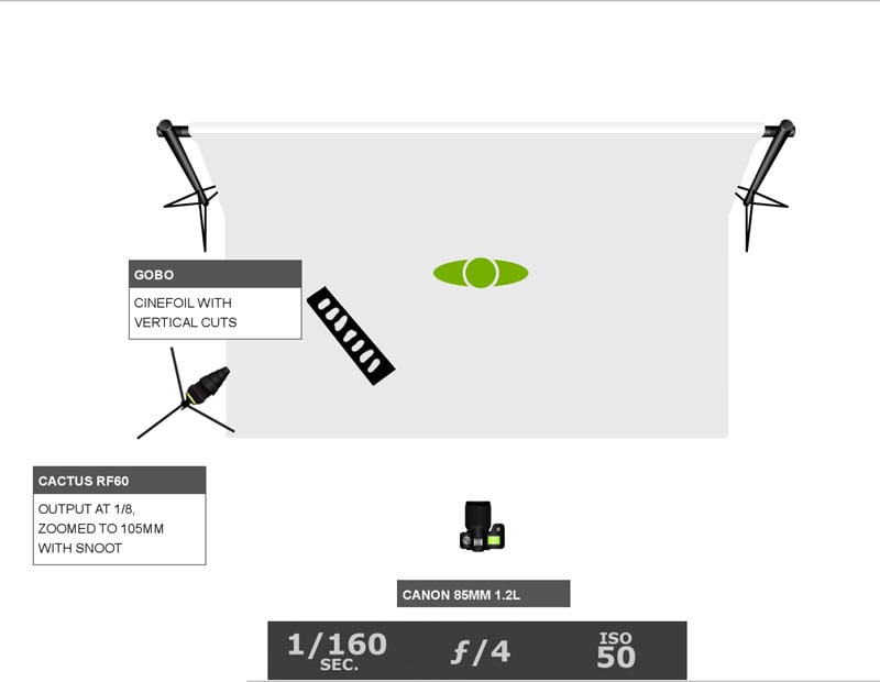 The lighting diagram. The light is roughly 3 feet from the gobo, which is roughly 3 feet from the subject, who is right against the backdrop. The close proximity creates more defined shadows.