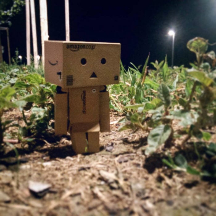 Danbo 13