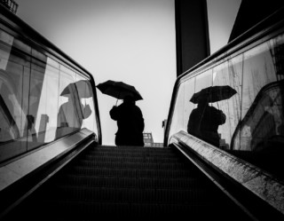 Why You Shouldn't Study Photography and What You Should Do Instead ...
