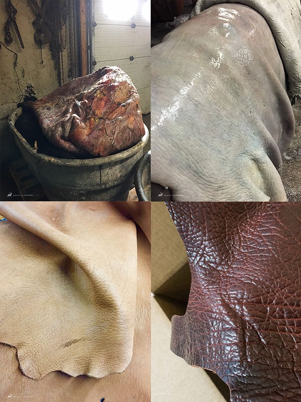 The various stages of the tanning and finishing process, from raw skin (top left) to finished leather (bottom right).