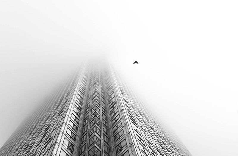Winning Photos of the British Wildlife Photography Awards 2016 | PetaPixel