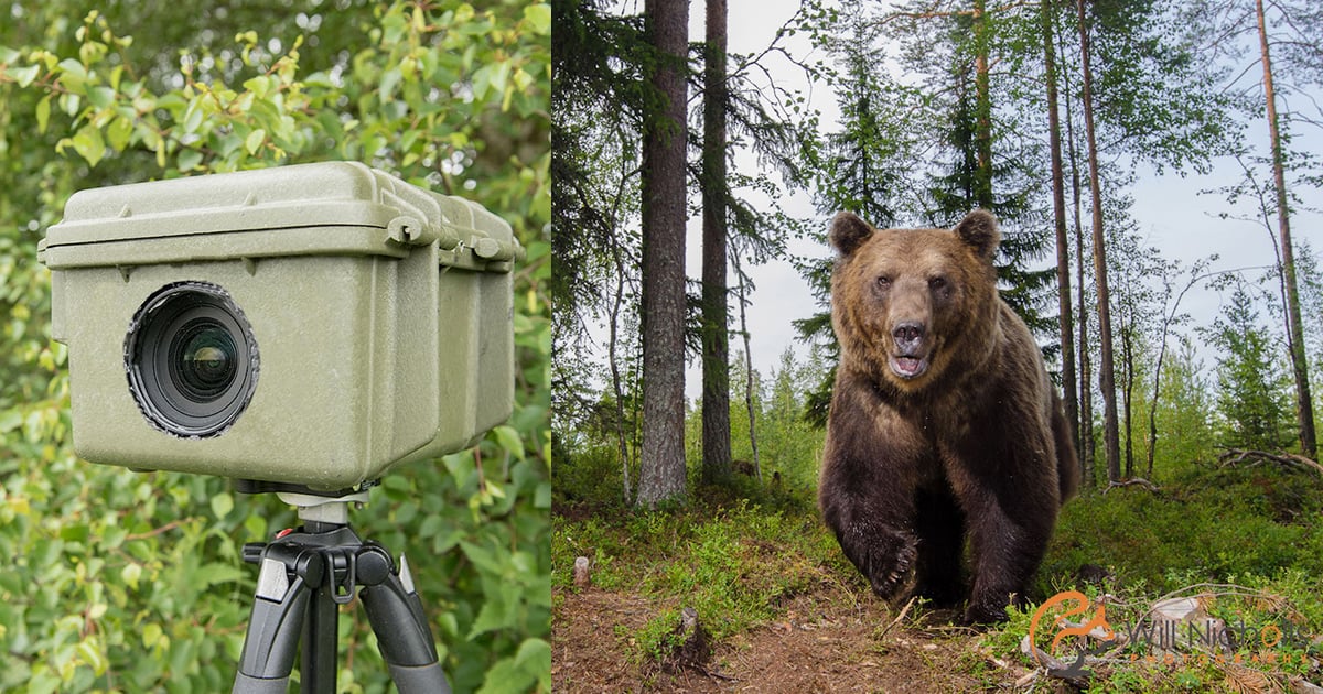 How to Build a Bear-Proof DSLR Camera Trap Housing