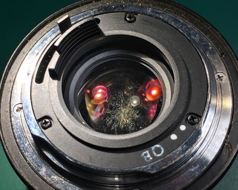 lens fungus remove on Lens Remove How to Fungus a from