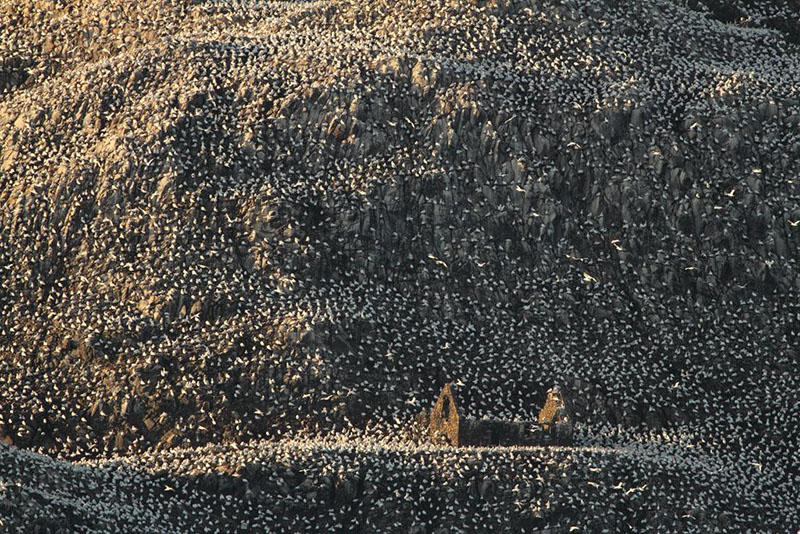Winning Photos of the British Wildlife Photography Awards 2016 | PetaPixel
